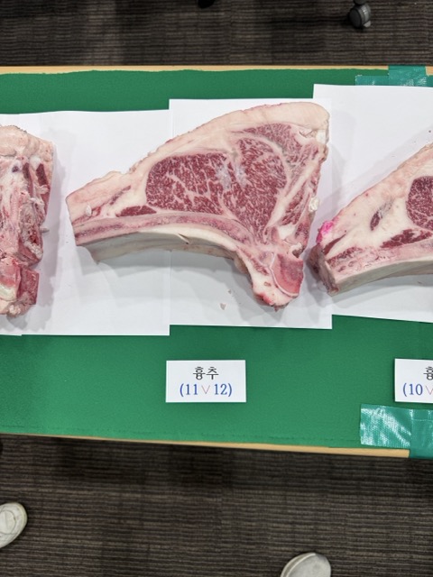e1be2770965f210a65221a042a84a456_1747373954_2786.jpeg