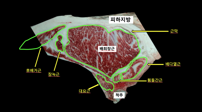 e1be2770965f210a65221a042a84a456_1747374896_4951.png